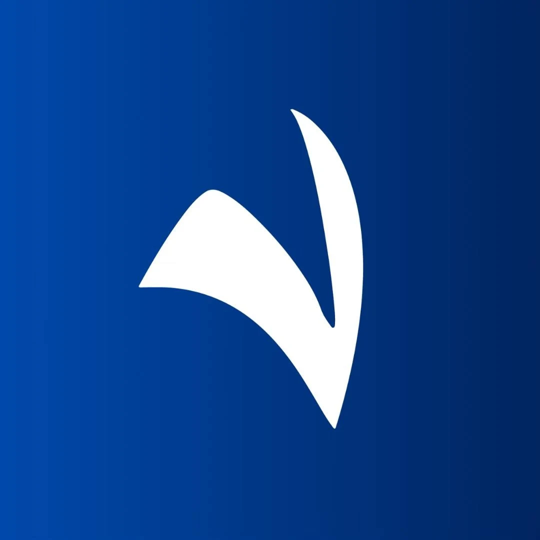 Logo Instituto Visión México